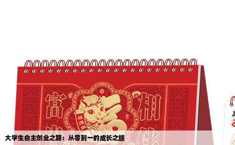 大学生自主创业之路：从零到一的成长之旅