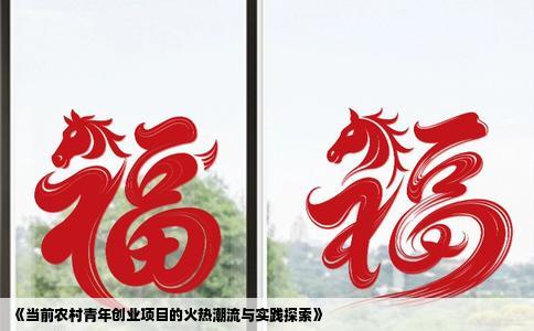 《当前农村青年创业项目的火热潮流与实践探索》