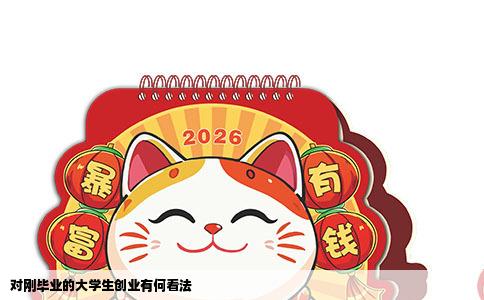 对刚毕业的大学生创业有何看法