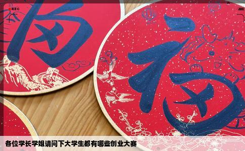 各位学长学姐请问下大学生都有哪些创业大赛