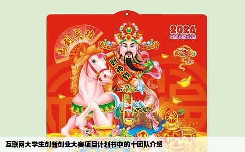 互联网大学生创新创业大赛项目计划书中的十团队介绍