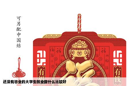 还没有毕业的大学生创业做什么比较好