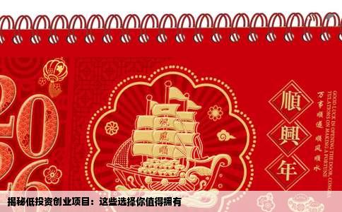 揭秘低投资创业项目：这些选择你值得拥有