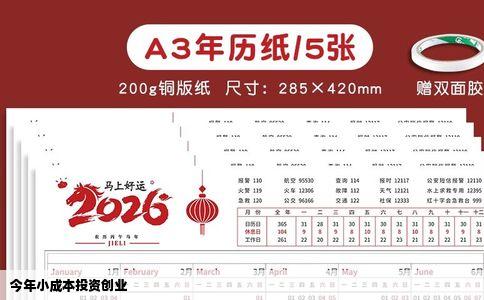 今年小成本投资创业