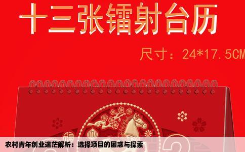 农村青年创业迷茫解析：选择项目的困惑与探索