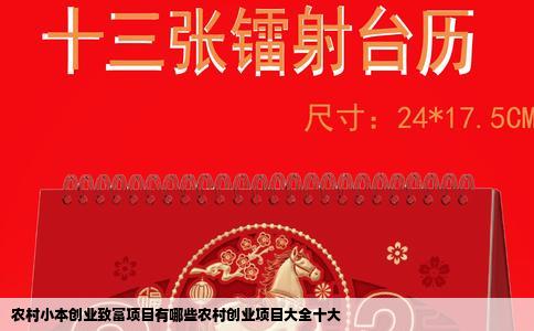 农村小本创业致富项目有哪些农村创业项目大全十大