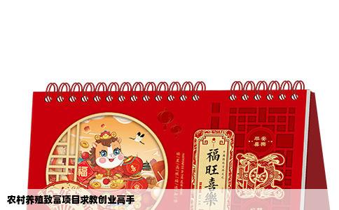 农村养殖致富项目求教创业高手