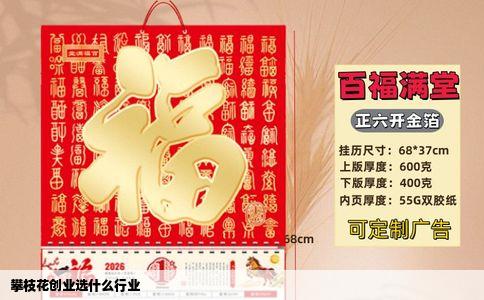 攀枝花创业选什么行业