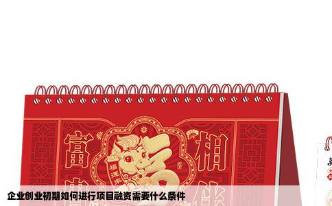 企业创业初期如何进行项目融资需要什么条件
