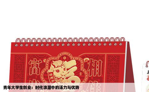 青年大学生创业：时代浪潮中的活力与优势