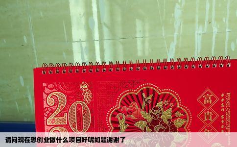 请问现在想创业做什么项目好呢如题谢谢了