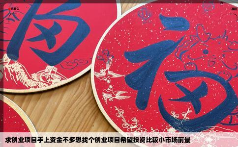 求创业项目手上资金不多想找个创业项目希望投资比较小市场前景
