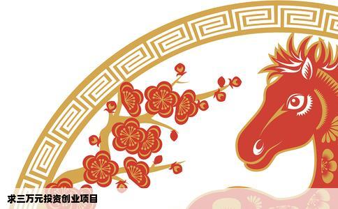 求三万元投资创业项目