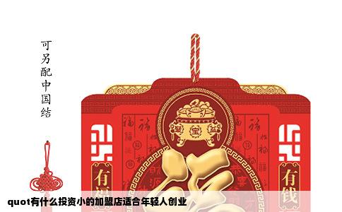 quot有什么投资小的加盟店适合年轻人创业