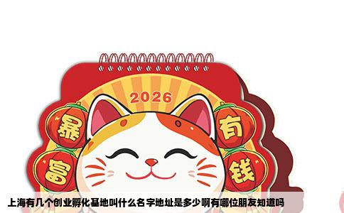 上海有几个创业孵化基地叫什么名字地址是多少啊有哪位朋友知道吗