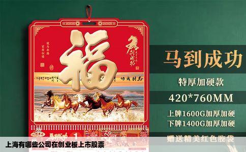 上海有哪些公司在创业板上市股票