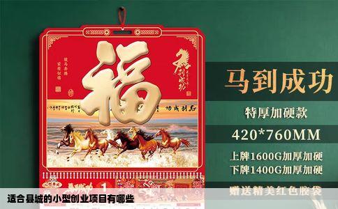 适合县城的小型创业项目有哪些