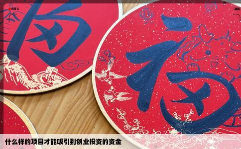 什么样的项目才能吸引到创业投资的资金