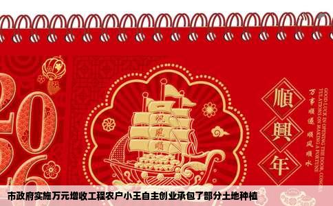市政府实施万元增收工程农户小王自主创业承包了部分土地种植