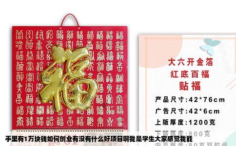 手里有1万块钱如何创业有没有什么好项目啊我是学生大家感觉我能