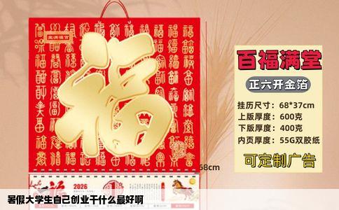 暑假大学生自己创业干什么最好啊