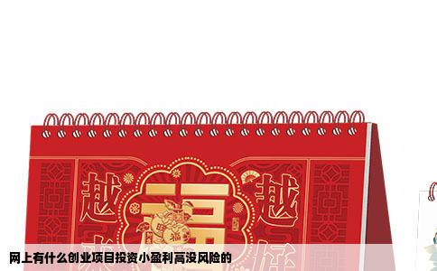 网上有什么创业项目投资小盈利高没风险的