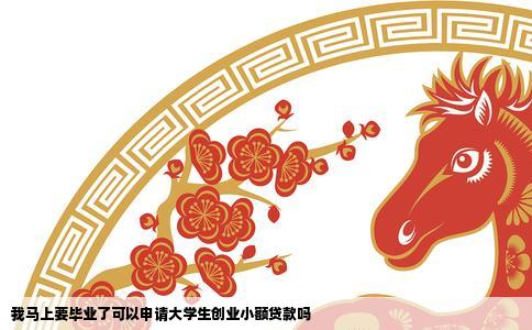 我马上要毕业了可以申请大学生创业小额贷款吗