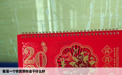 我是一个农民想创业干什么好