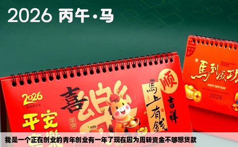 我是一个正在创业的青年创业有一年了现在因为周转资金不够想贷款