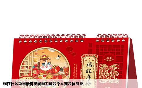 现在什么项目最有发展潜力适合个人或合伙创业