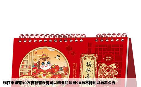 现在手里有30万存款有没有可以创业的项目90后不种地以后怎么办