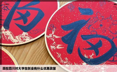 现在四川对大学生创业有什么优惠政策