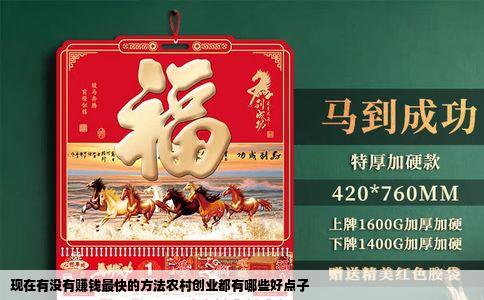 现在有没有赚钱最快的方法农村创业都有哪些好点子