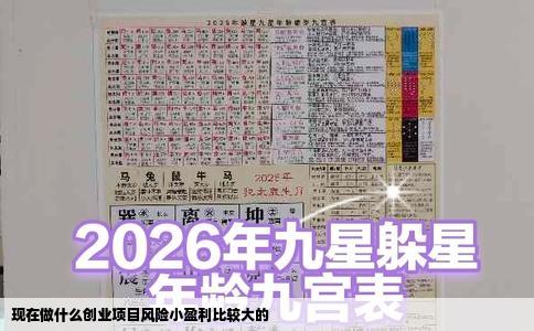 现在做什么创业项目风险小盈利比较大的