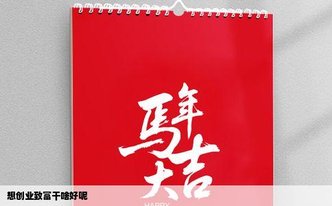 想创业致富干啥好呢