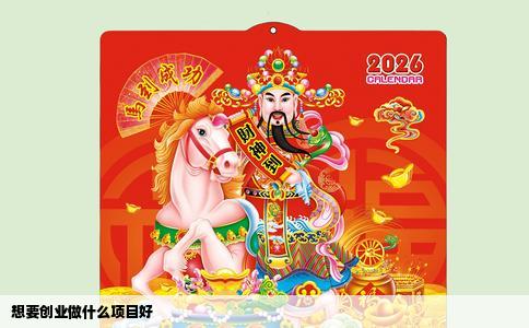 想要创业做什么项目好