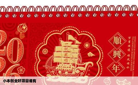 小本创业好项目谁有