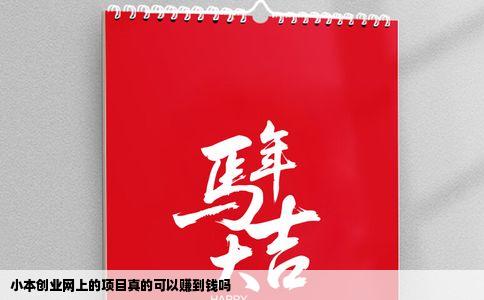 小本创业网上的项目真的可以赚到钱吗