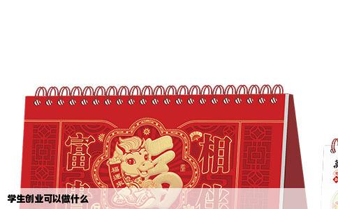 学生创业可以做什么
