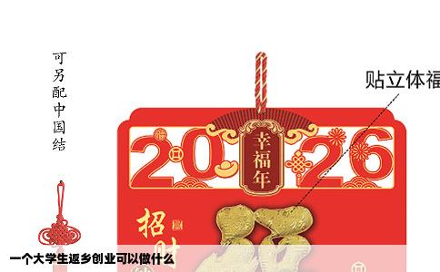 一个大学生返乡创业可以做什么
