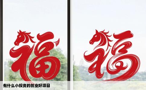 有什么小投资的创业好项目