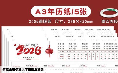 有谁正在借贷大学生创业贷款