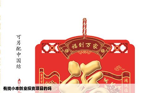有找小本创业投资项目的吗