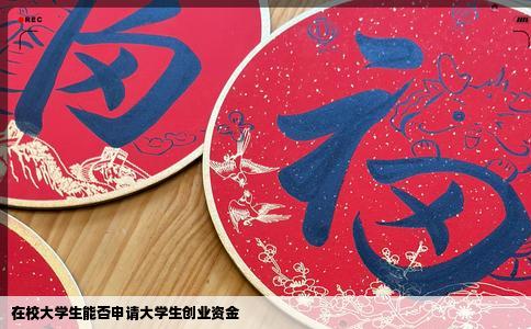 在校大学生能否申请大学生创业资金