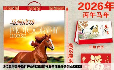 诸位觉得关于软件行业和互联网行业有那些好的创业项目啊