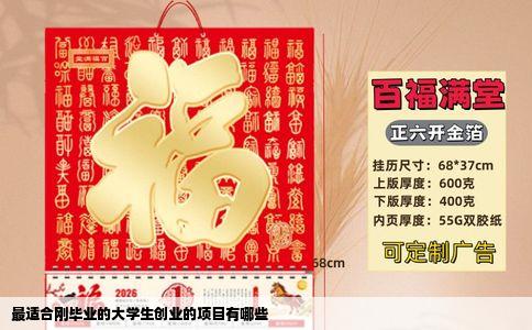 最适合刚毕业的大学生创业的项目有哪些