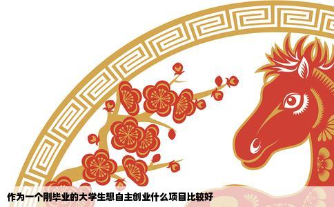 作为一个刚毕业的大学生想自主创业什么项目比较好